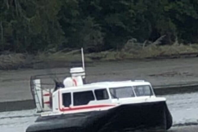 Hover Craft Scenic Tour in Talkeetna, Alaska - The Sum Up: Who Should Consider This Tour?