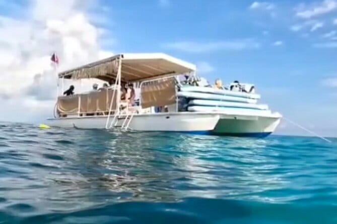 Islamorada: Snorkel adventure & Sandbar Trip - The Sum Up