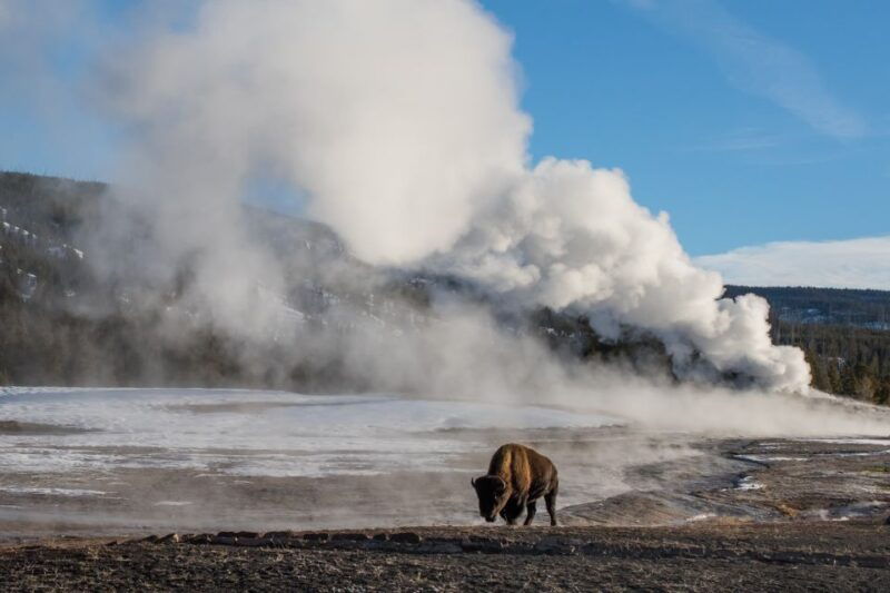 Jackson: 4-Day Grand Teton & Yellowstone Winter Tour - FAQ