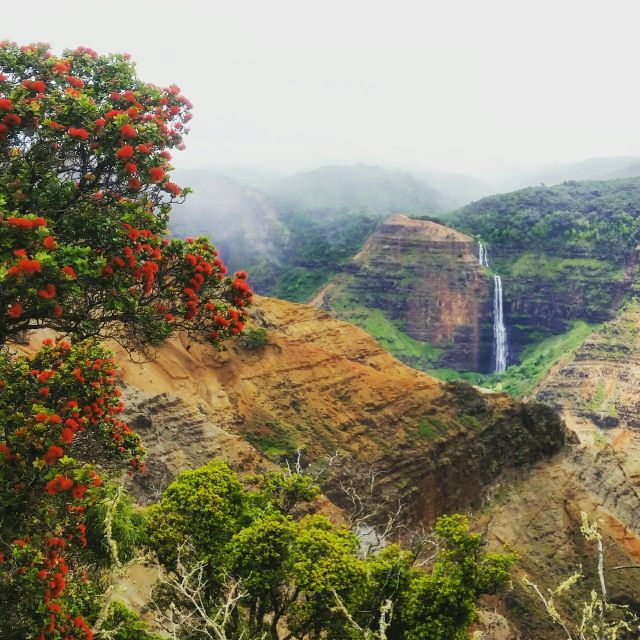 Kauai: Waimea Canyon & Kokee State Park Private Tour - Final Words