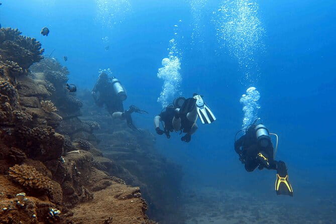Kauai's Exclusive Morning Scuba Charter for Experienced Divers - The Sum Up: Who Is This Tour Perfect For?