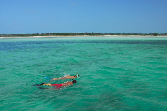 Key West Reef Snorkel – Morning Mimosas or Afternoon Margaritas - Practical Tips for Future Travelers