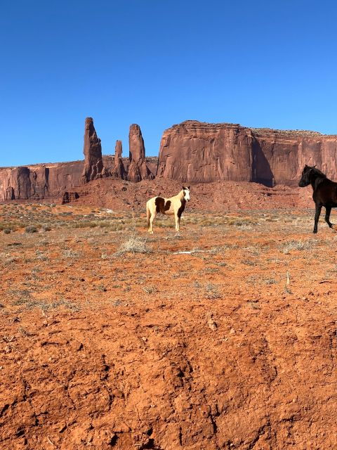 LA: Las Vegas, Sedona, Monument, Antelope Canyon, 5-Day Tour - FAQs