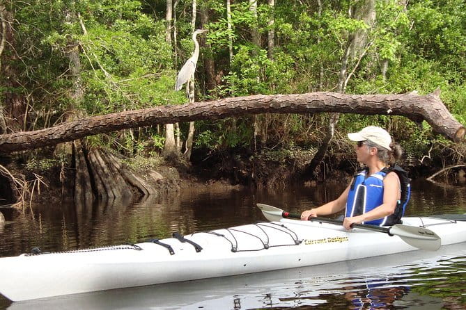 Lofton Creek Kayaking Trip with Professional Guide - Frequently Asked Questions