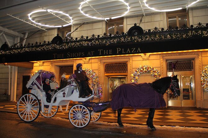 Magical Evening Horse-Drawn Carriage through NYC (65 min) - The Sum Up