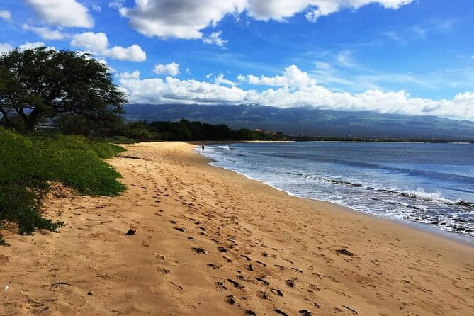 Maui Island Private Day Tour - Who Is This Tour Best For?