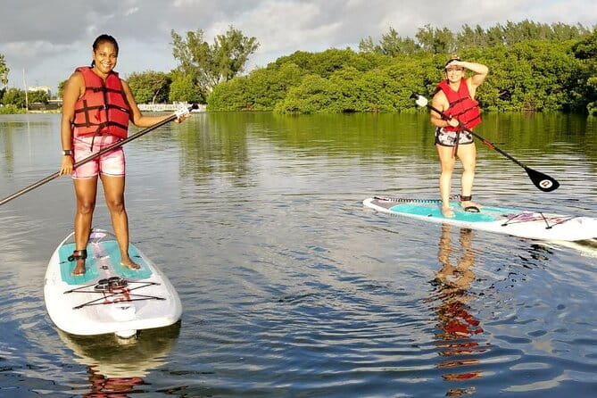 Miami Kayak and Paddleboard Rentals in Virginia Key - The Sum Up: The Bottom Line