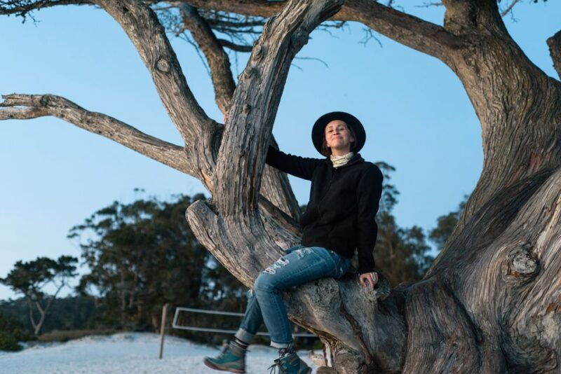 Monterey, Carmel, 17 Mile Dr, Big Sur & Mcway Falls Pvt Tour - Price & Value: Is It Worth It?