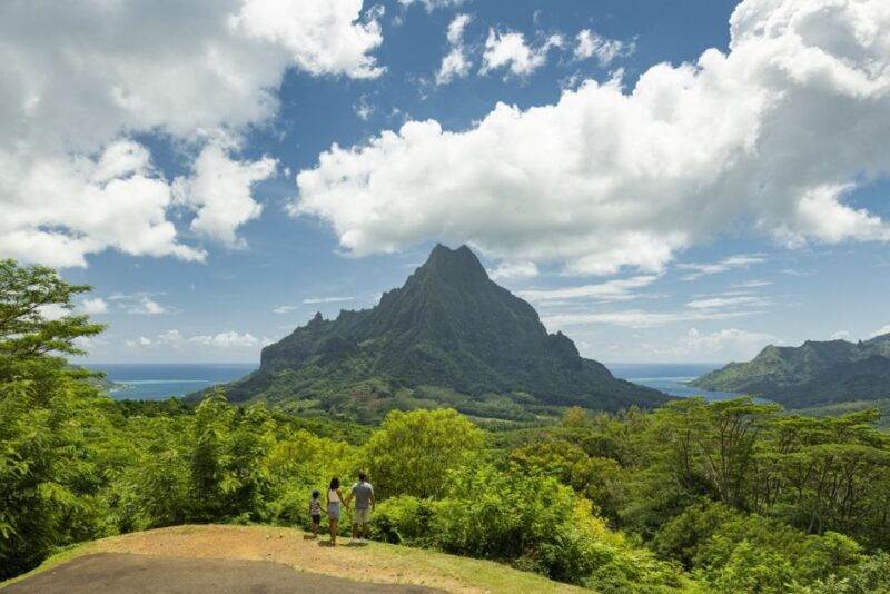 Moorea Highligts: Blue Lagoon Shore Attractions and Lookouts - Optional Boat Trip and Snorkeling