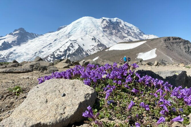 Mount Rainier Day Hike - The Sum Up