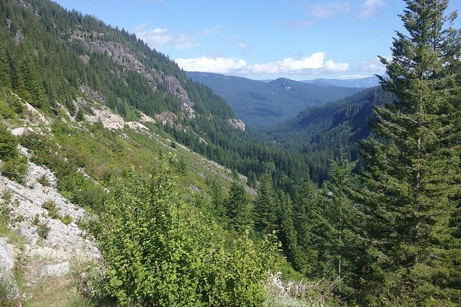 Mt Rainier Private Tour Experience in SUV - The Sum Up