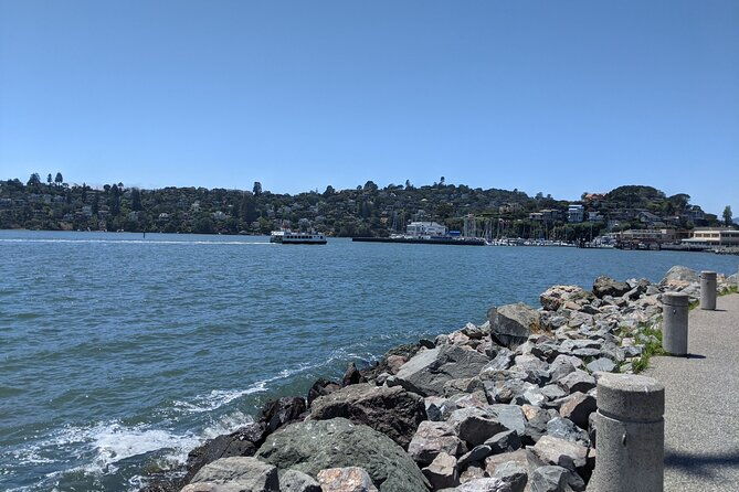 Muir Woods, Sausalito and Tiburon Day Trip from San Francisco - Authentic Review Snippets
