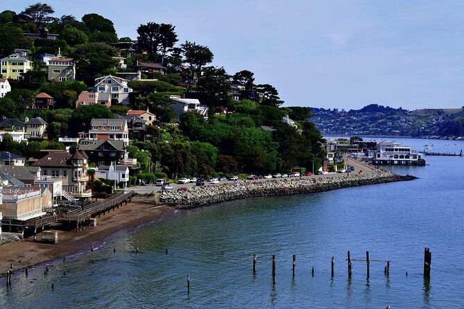 Muir Woods & Sausalito: Small Group Experience - Who Should Consider This Tour?