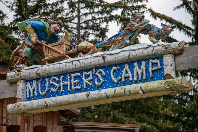 Musher's Camp and S'more Roasting Experience - Final Thoughts