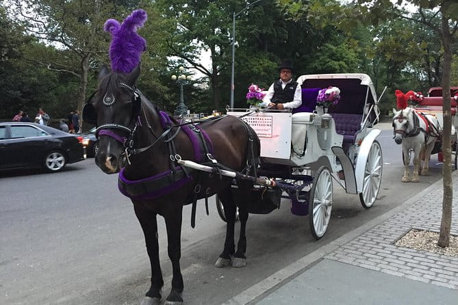 NYC Central Park Horse and Carriage Ride: Long Ride 45 min - FAQs