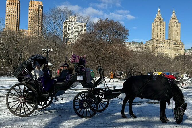 NYC Empire State Horses Carriage Ride in Central Park (45 Mins) - Practical Details and Tips