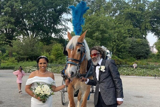 NYC Horse and Carriage Central Park Tours - FAQs