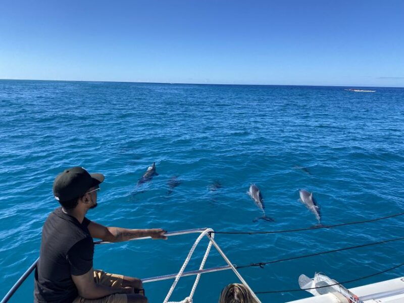 Oahu: Private Turtle Snorkeling with Customizable Itinerary - Who Should Book This Tour?