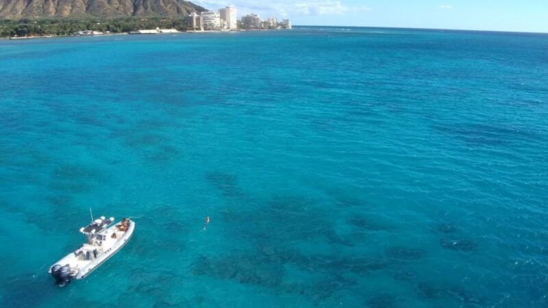 Oahu: Waikiki Private Snorkeling and Wildlife Boat Tour - The Sum Up