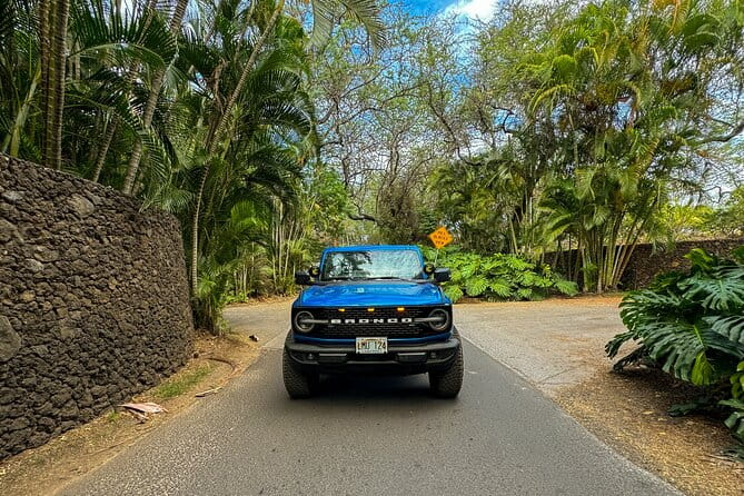 Off Road Coastal Tour 4x4 Vehicle With Snorkel, Photo and Video - FAQ
