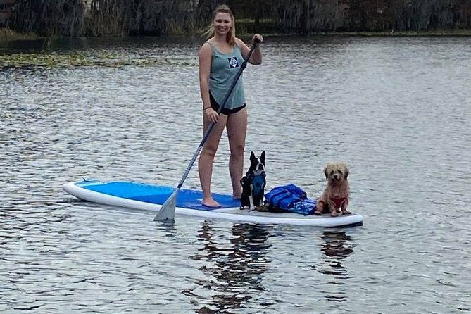 Paddle with Pups in Paradise - Paddleboard or Kayak - The Sum Up