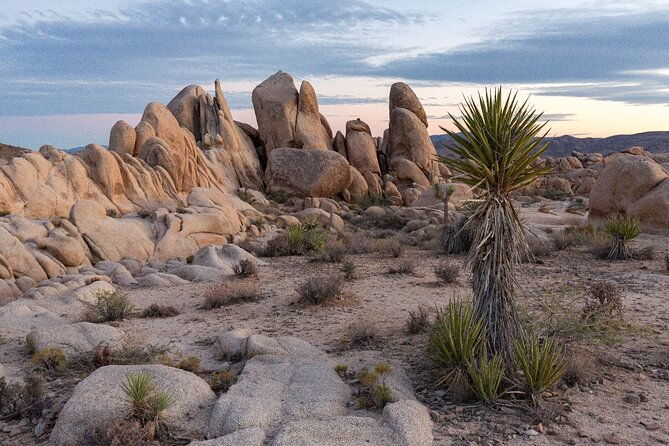 Palm Springs and Joshua Tree Self-Guided Driving Audio Tours - FAQ: Your Practical Questions Answered