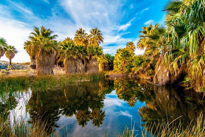 Palm Springs Self-Guided Driving Audio Tour - Practical Tips