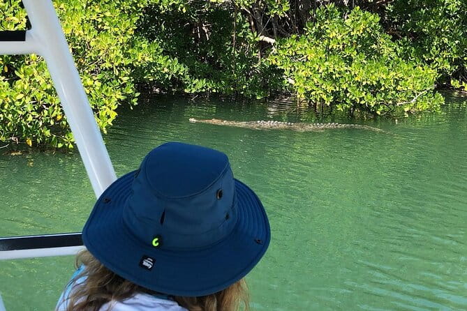 Private 2 hour Mangrove Ecotour - Final Thoughts: Is It Worth It?
