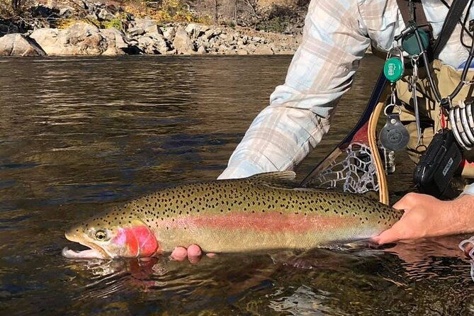 Private Full Day Fly Fishing For Beginners and Experienced Anglers - Frequently Asked Questions