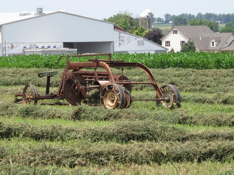 Private Lancaster County Amish Tour from Philadelphia - Comparing the Cost