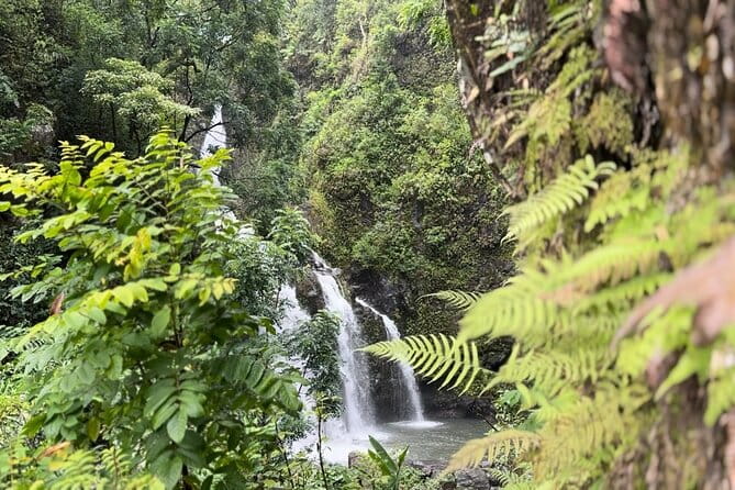Private Road to Hana Maui Open-Air Jeep Tour - The Sum Up