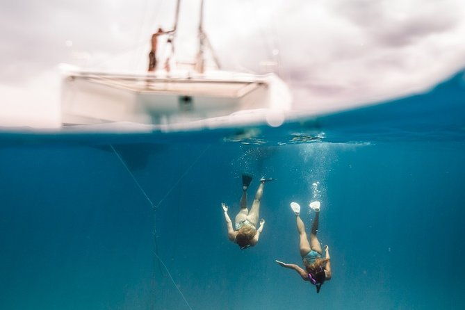 Private Snorkel Trip from Oahu on a Yacht - Who Would Love This Tour?
