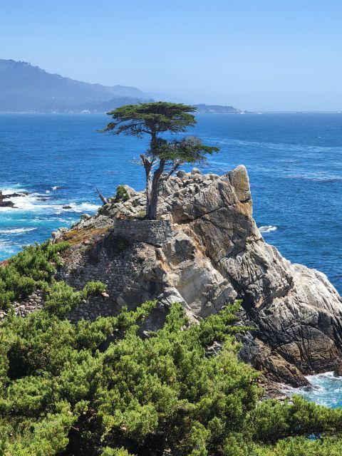 San Francisco: Monterey, Aquarium, and Carmel Private Tour - Carmel: Artistic Charm and Oceanfront Elegance
