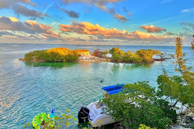 Sandbar Snorkel in the backcountry of Key West - Who Should Consider This Tour?
