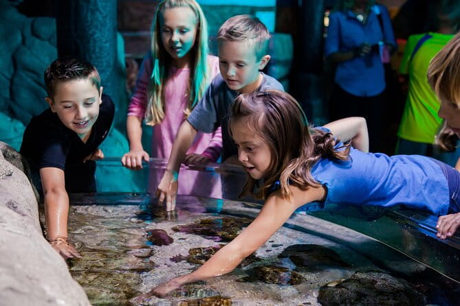 SEA LIFE Aquarium Arizona Admission Ticket - Frequently Asked Questions