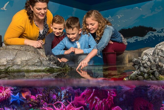 SEA LIFE Aquarium Grapevine Admission Ticket - The Sum Up