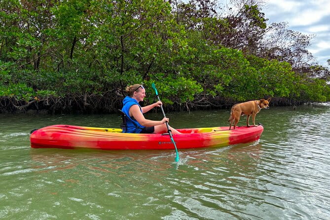 Self Guided EcoTour: Clear/Standard Kayaks -Bonita Springs - FAQ