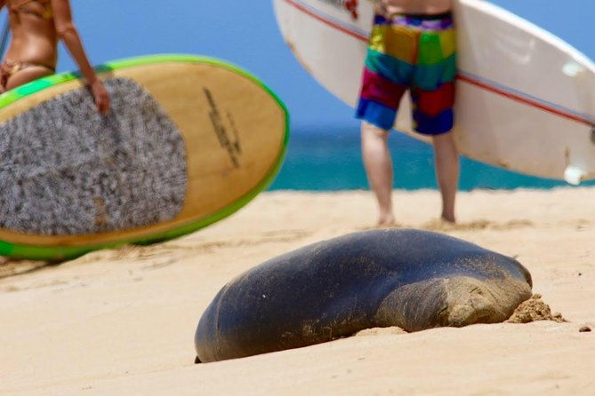 Semi-Private Surf Lesson - Who Will Love This Tour?