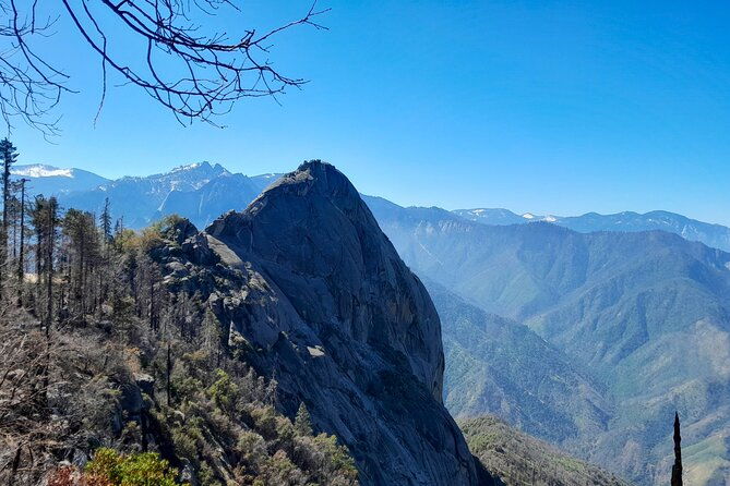 Sequoia National Park Private Tour - Who Would Love This Tour?