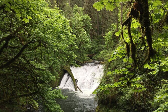 Silver Falls Waterfall Hiking Tour from Portland - FAQ