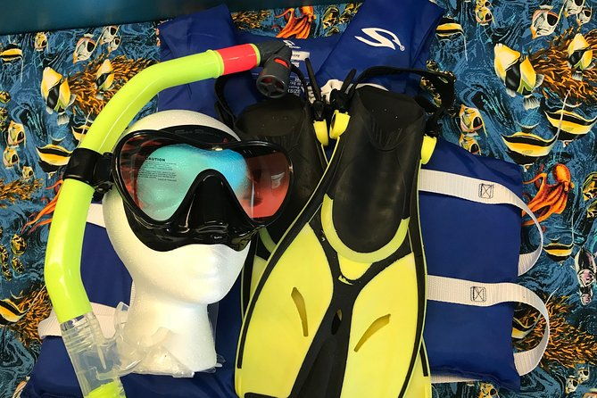 Snorkel Gears near Hanauma Bay - Authentic Experiences and Honest Feedback