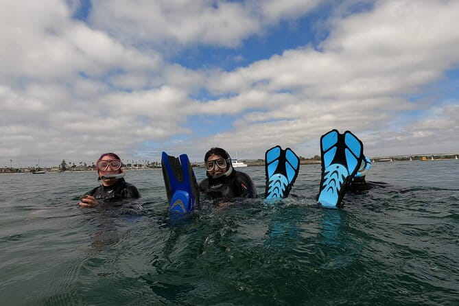 Snorkel San Diego's Mission Bay with a Marine Biologist - Who Should Book This Tour?