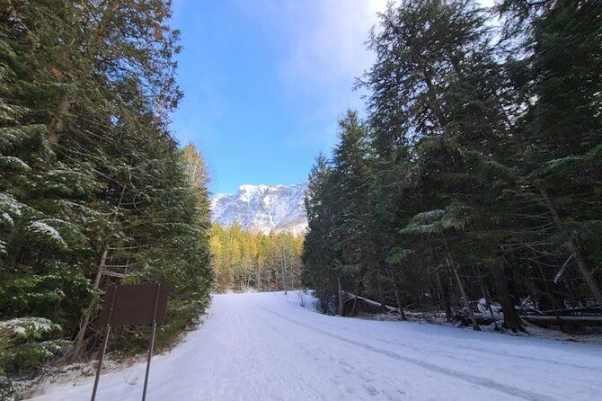 Snowshoe OR Cross Country Ski Tours in Glacier National Park - FAQs