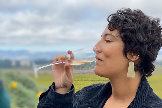 Sonoma Valley Sidecar Wine tours - Final Thoughts: Is This Tour for You?