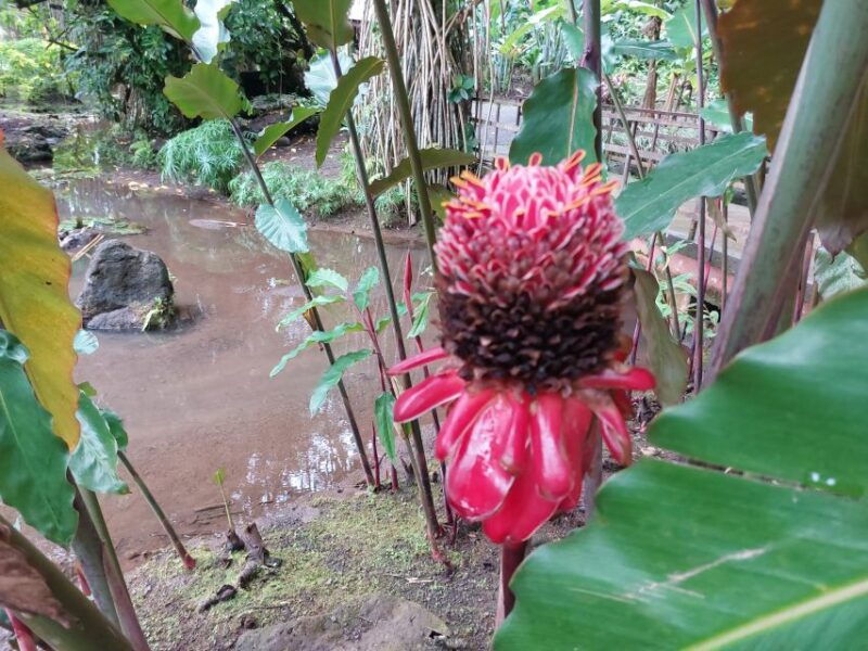Tahiti Classical Coastal Full Day Private Tour - Final Thoughts
