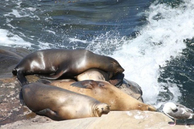 The La Jolla Tour - Final Thoughts