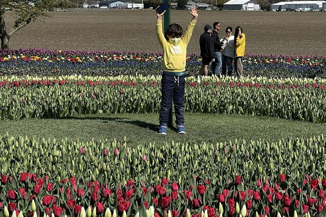 Tulip Festival in Skagit Valley Tour from Seattle - The Sum Up: Is This Tour Right for You?