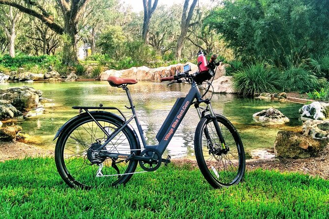 Village Bicycle Rental Free Delivery in The Villages Florida - The Sum Up
