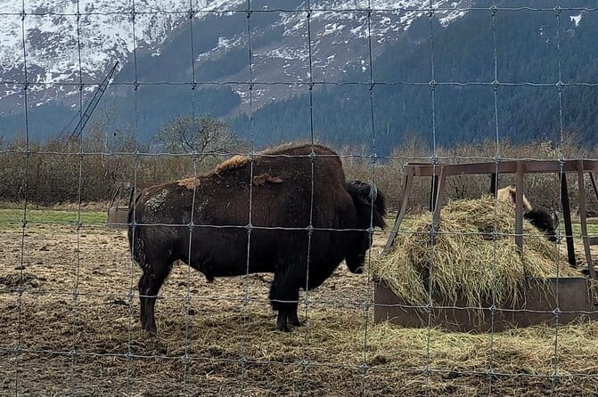 VIP Tour from Anchorage to Alaska Wildlife Conservation Center - Frequently Asked Questions