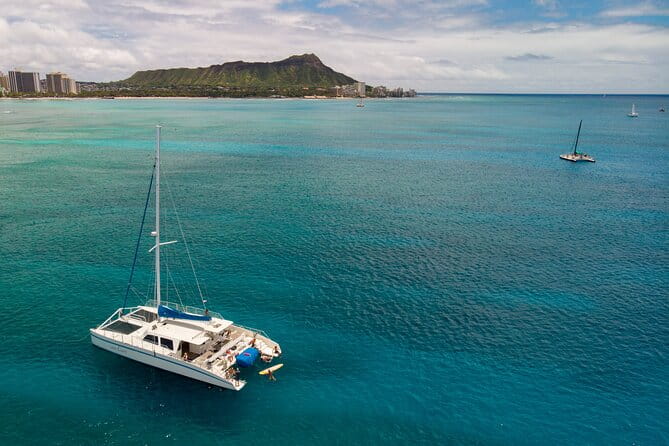 Waikiki Panorama Sail: Search for Hawaiian Sea Turtles - FAQ